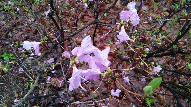 2725A34E5712CCC12E0F5A