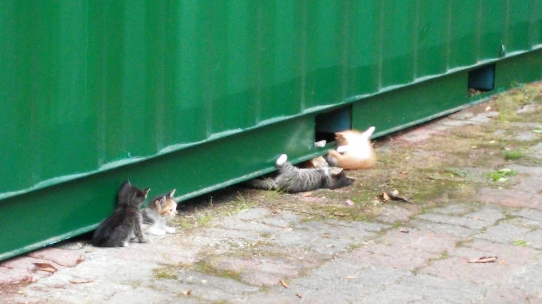 2761504C558F161B05EEC9