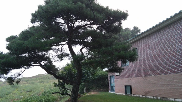 2358423C57D0B8A82B9DB6