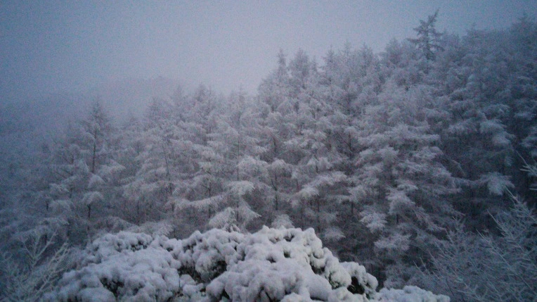 2574923B565F93CE2B5012