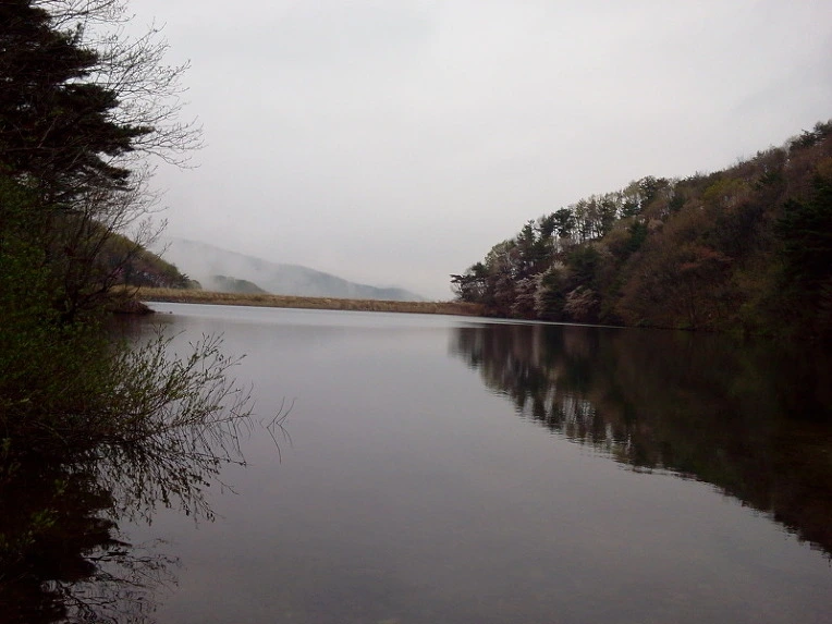 19290E394DB667F01F8A59