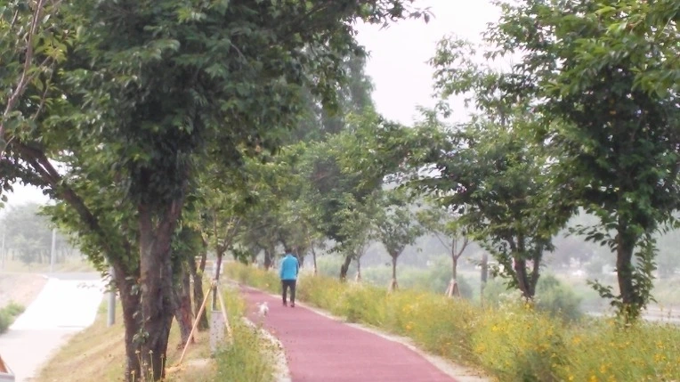 2517A035576750451A2B2D