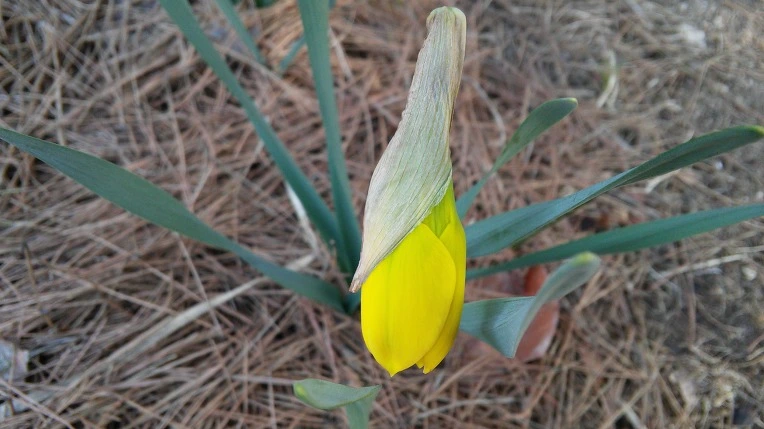 2352304956FE1C533F1D45