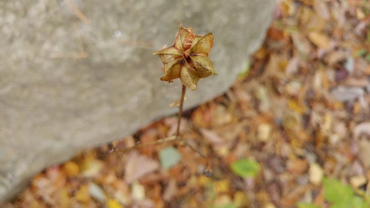 99EA7A3A5DBE6375362EE8