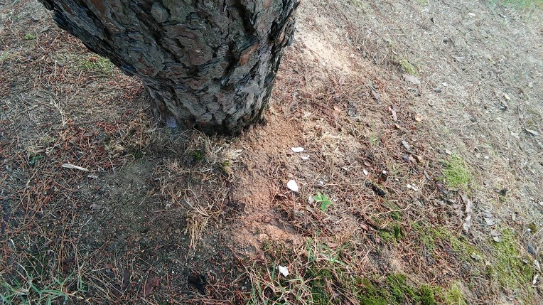 2256D13A5764957D1D43D5