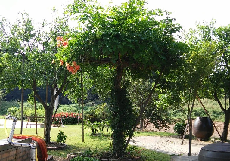 253ABD3857D21B4229796C