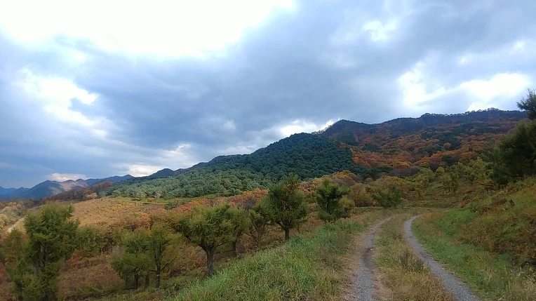 996196355BD6ADCE2FE892