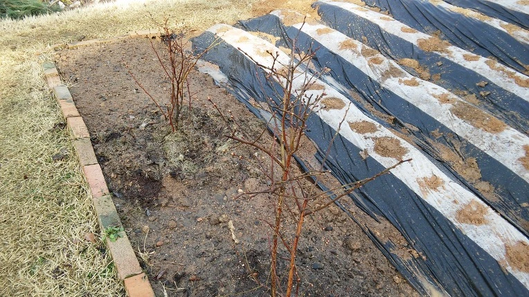 24490C4156FC8D10069F63