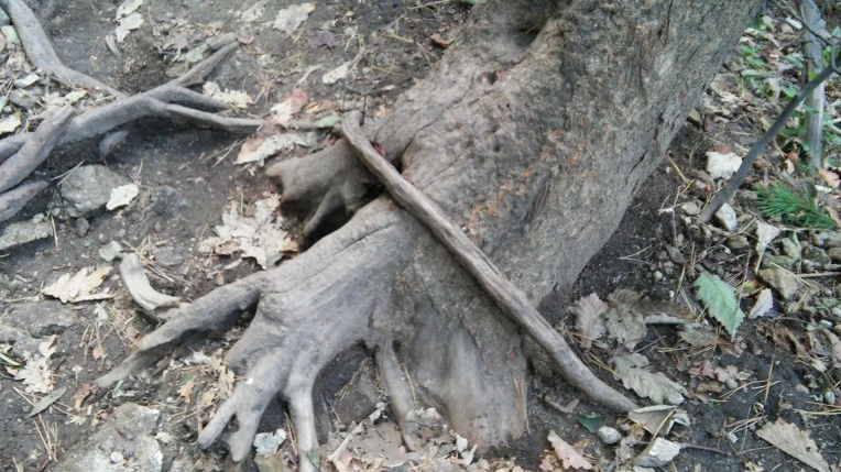 2319893D560FBC0D295F5B