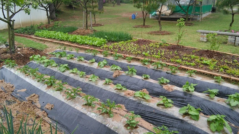 214682425622BDCE185FA8