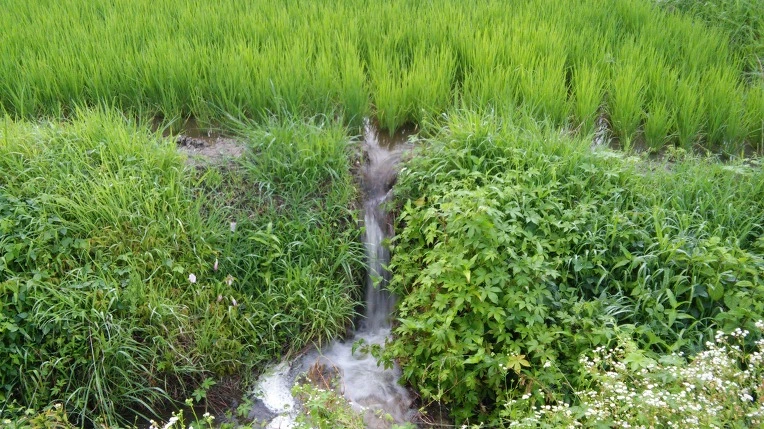 2203D5435777070A36C78A