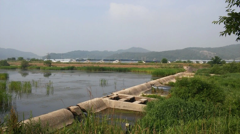 271929355767506A1930D6