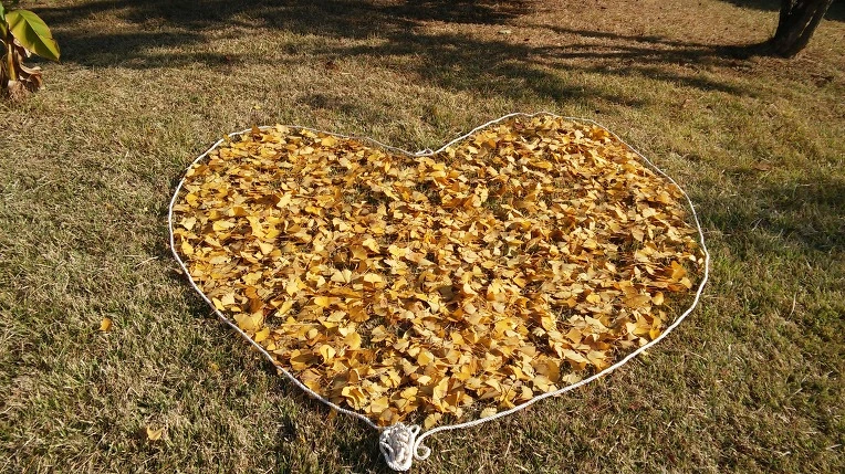 247CD5365630852007EBE8