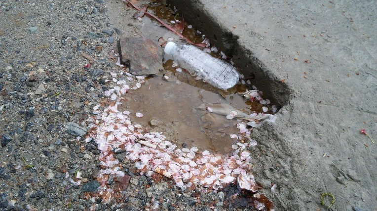 272C634A5712CDBD32A41C