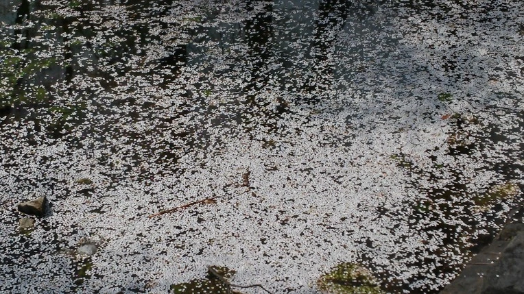 232A134A57095EAA23FFB9