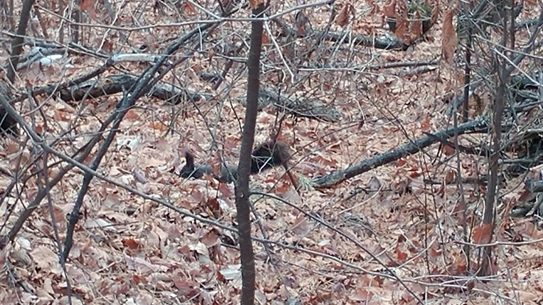 99FE154A5C92115C2C0B14