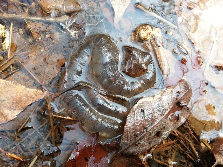 25314738532E35B016718A