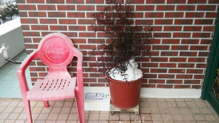 2529AA38588318EB3846B6