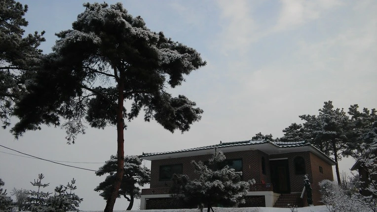 22221C4056D10AFA333BFE