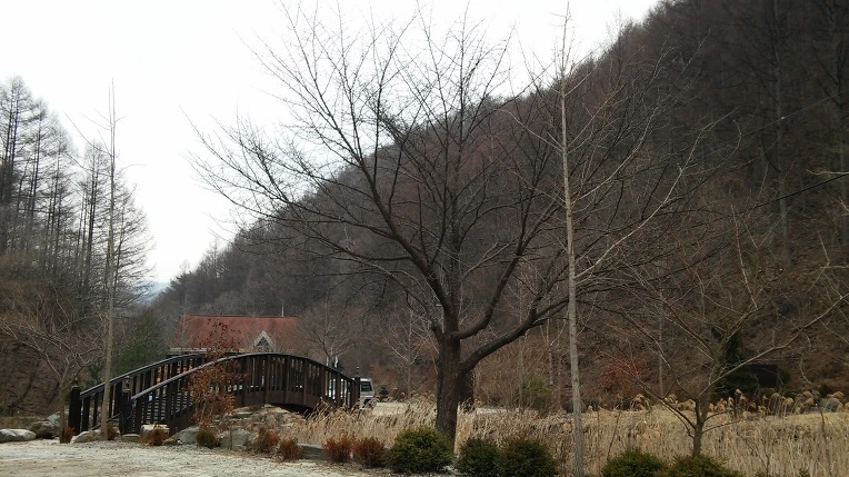 266A323556E653C3011C44