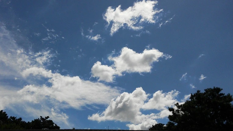 24406D4F57C410E218AC95