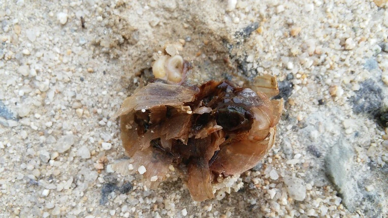 267EBA4257982AA91A63F3