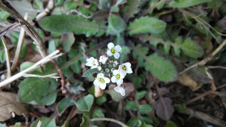 2421413858CDACCF225473