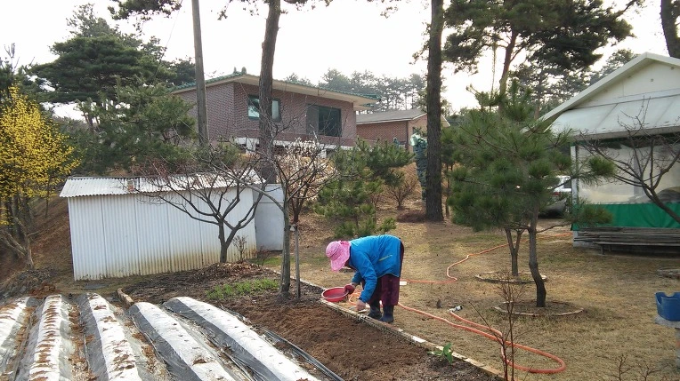 2623254256FC8CF20CBA58