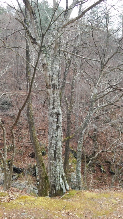 2305055058D5FFE12241F9