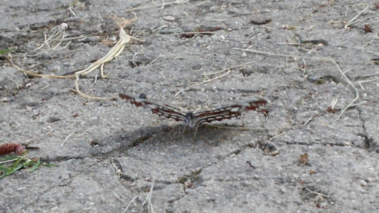 215E504057B90FB02C3763