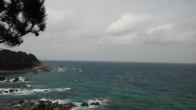 210C124358D3890F2FC8E9