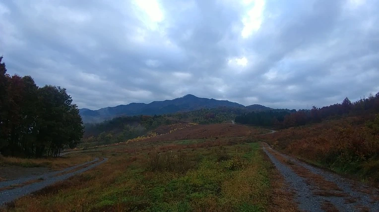 995B84495BD65E3D322A4F