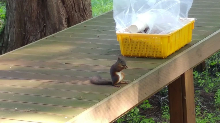 99F434495B4D8E60153C6E