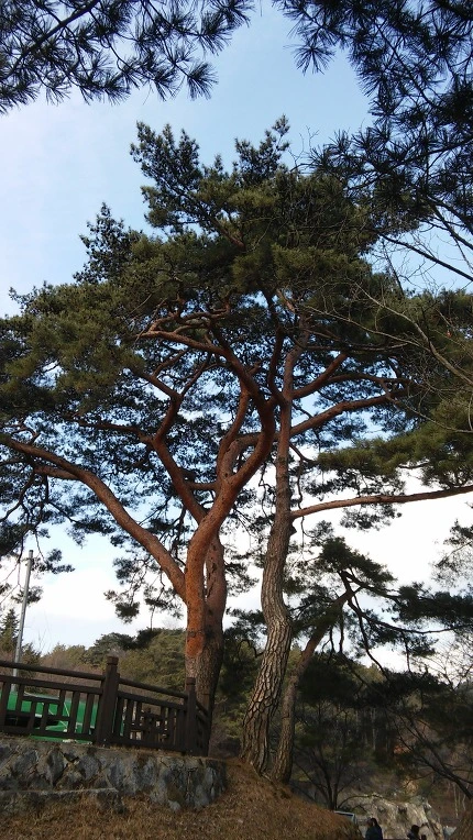 212F3D3E56AD8CCA2770CD