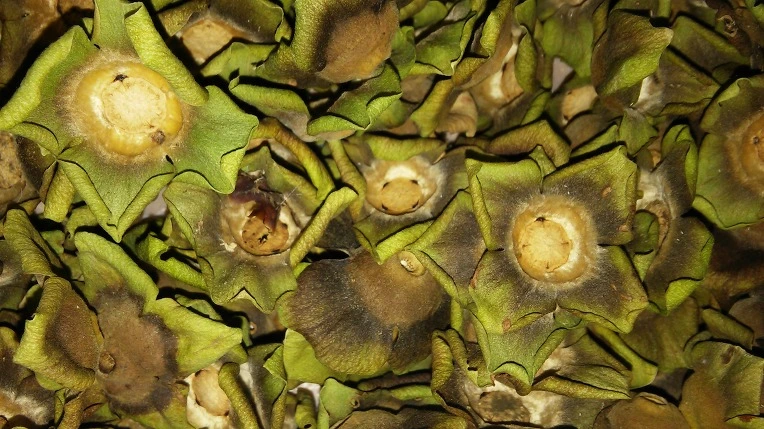 27663E485971371308DE3C