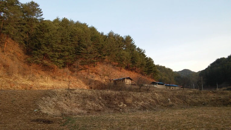 2266253C58D3156C16F191