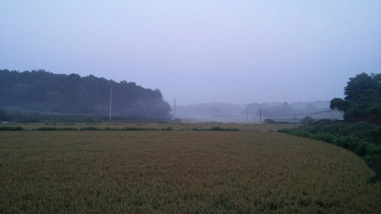 2137613357E46806245B2D