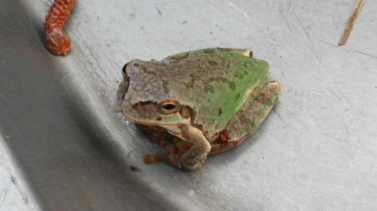 25141B505771F40B29F84F