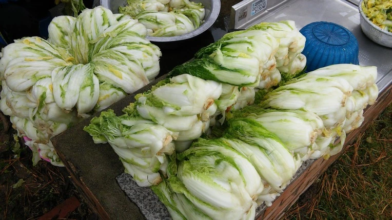 22749C4958217A9E0EF241