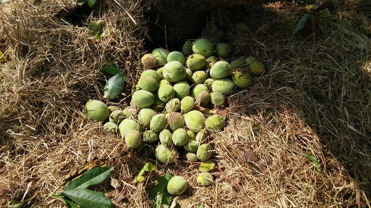 2203684D574E530C21F784