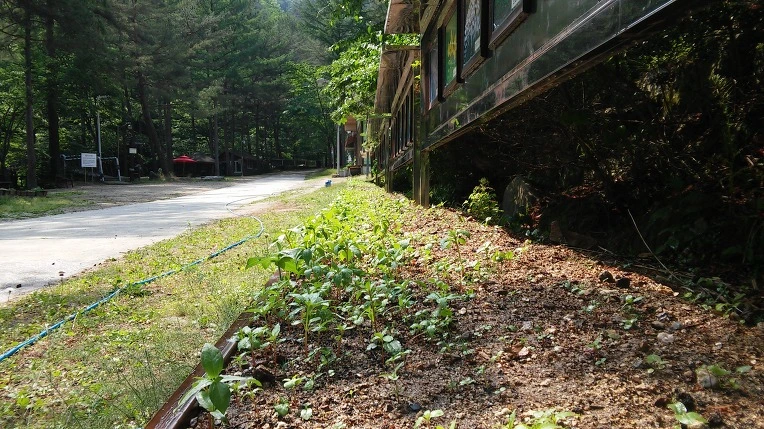 2169074E592E9EBF09C773