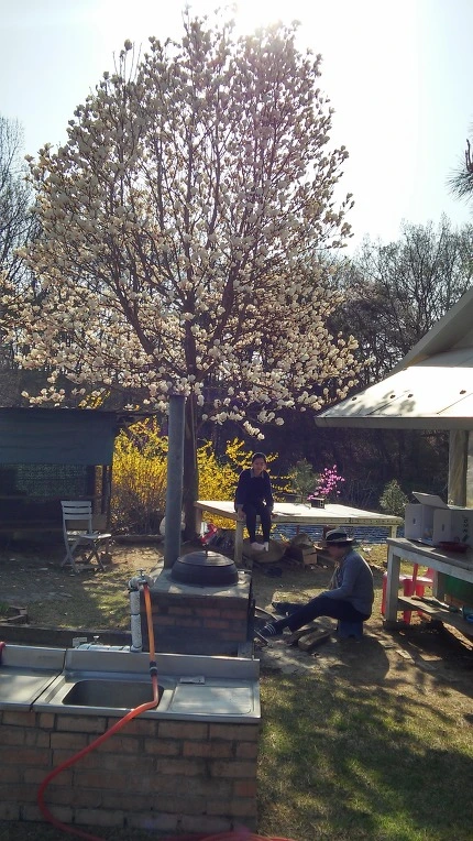 255C614D570C6B1F2B430A