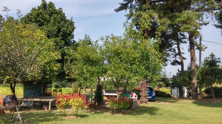 9970D53359D56086429AD4