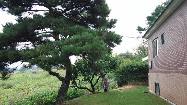 23548E3957D0BA12306838