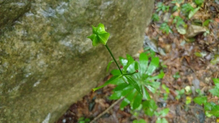 9937DA3A5DBE6265331506