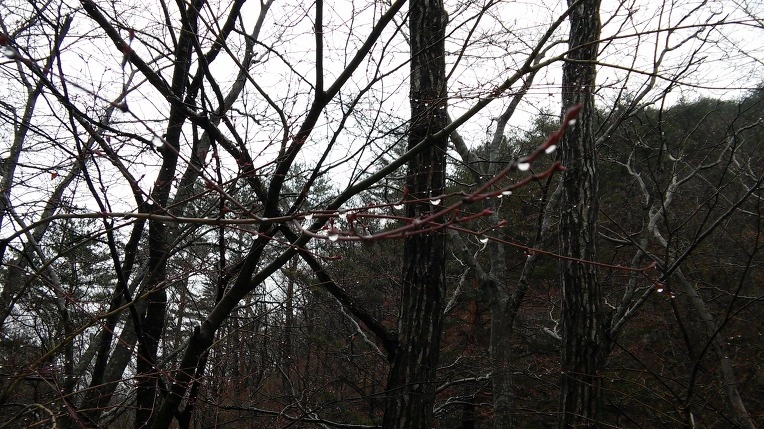 221B0A3558DF027A22CA5C