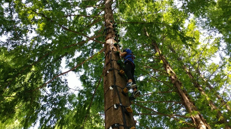 99911B375B57BF6510DAB6