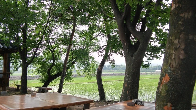 257D8F36575A22932084B0