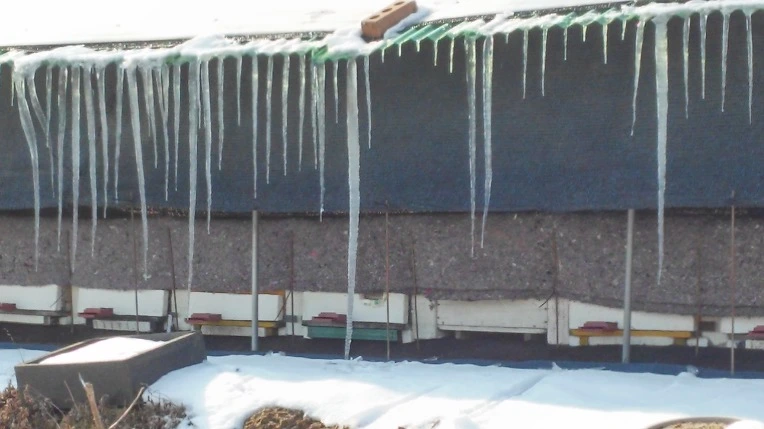 2173504A588A8F860305A0