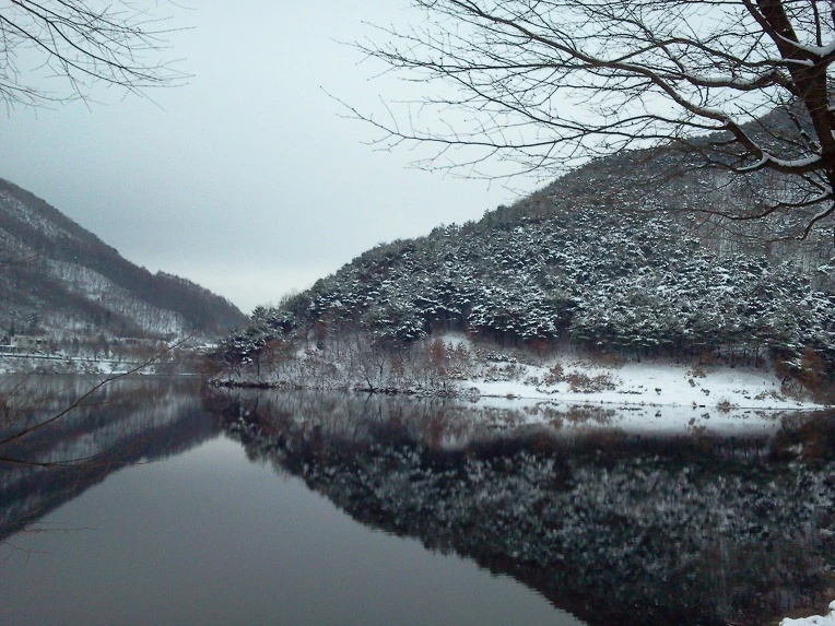 157F513550C2AD03017D50